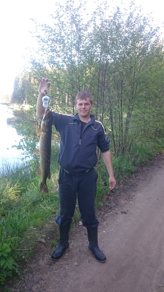Northern Pike