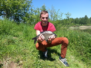 Carp bream