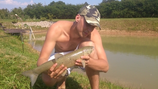 Grass carp