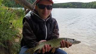 Northern Pike