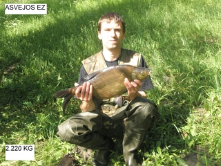 Carp bream