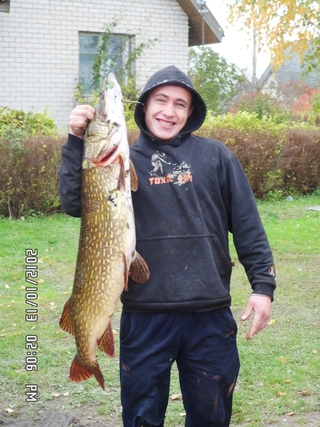 Northern Pike