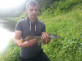 Northern Pike