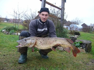 Northern Pike