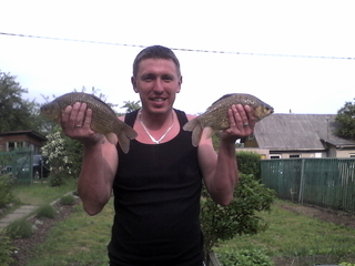 Crucian carp