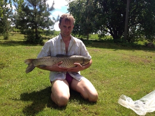 Grass carp