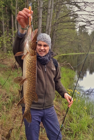 Northern Pike