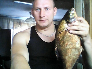 Carp bream