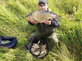 Carp bream