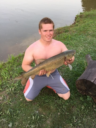Grass carp