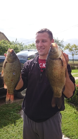 Crucian carp