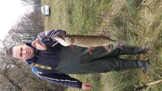 Northern Pike