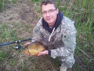 Crucian carp