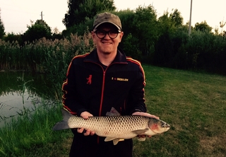Grass carp