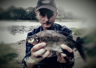 Carp bream