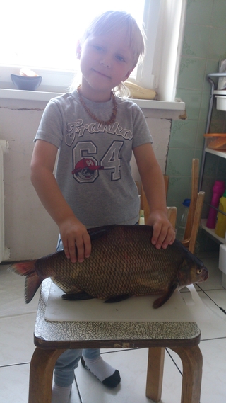 Carp bream
