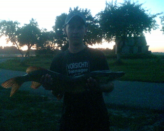 Northern Pike