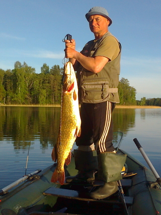 Northern Pike