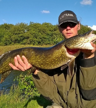 Northern Pike