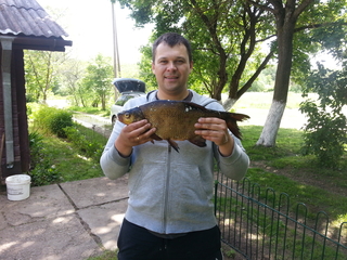 Carp bream