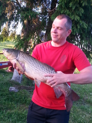 Grass carp