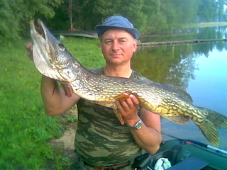 Northern Pike