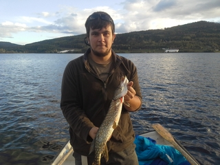 Northern Pike