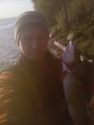 Northern Pike
