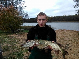 Northern Pike