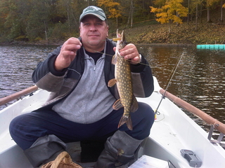 Northern Pike