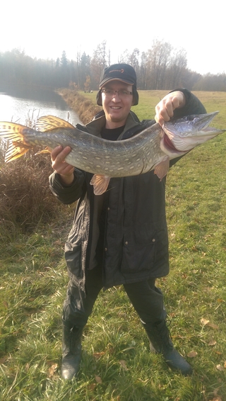 Northern Pike