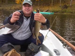 Northern Pike
