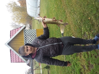 Northern Pike