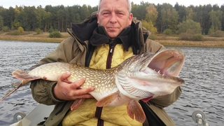 Northern Pike