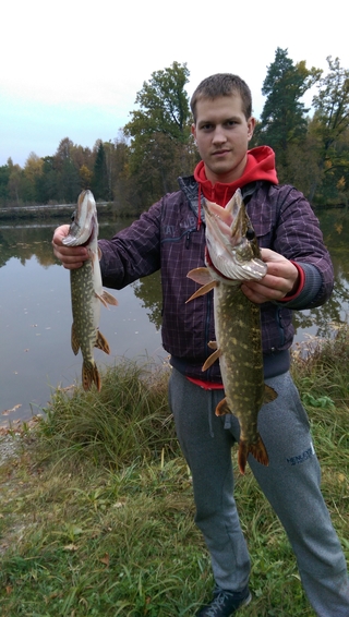 Northern Pike