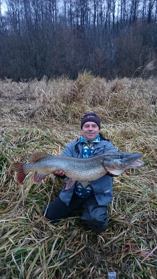 Northern Pike