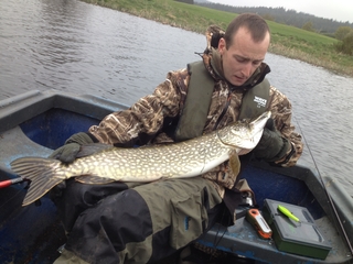 Northern Pike
