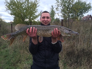 Northern Pike