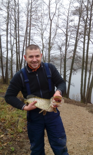 Northern Pike