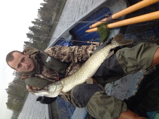 Northern Pike