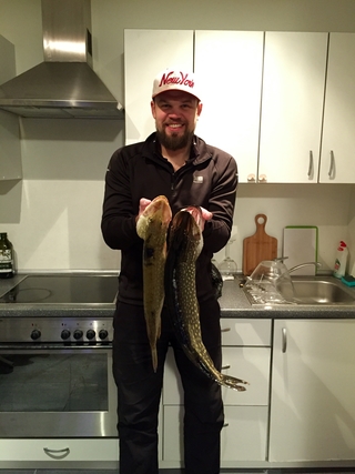 Northern Pike