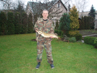 Northern Pike
