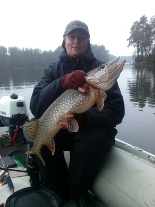 Northern Pike