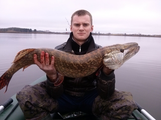 Northern Pike