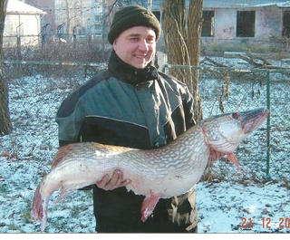 Northern Pike