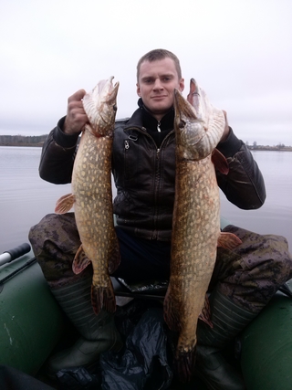Northern Pike