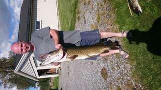 Northern Pike