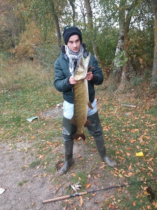 Northern Pike