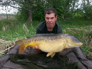 Mirror carp