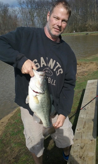 Largemouth Bass